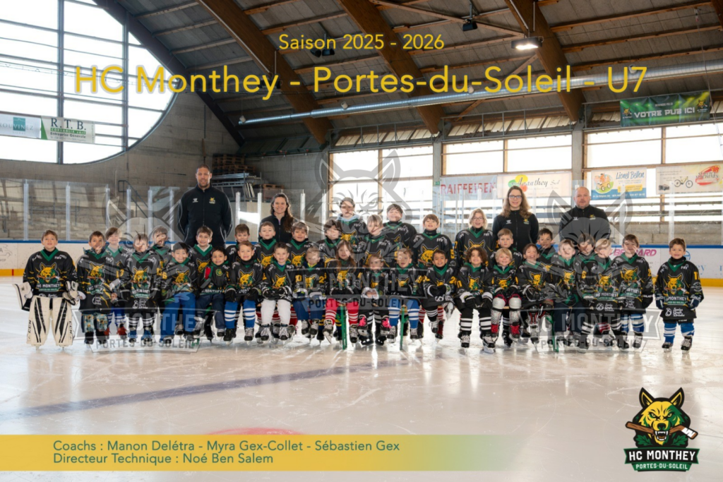 Ecole de patinage / hockey